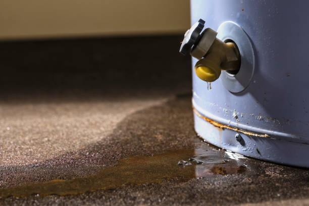 Best Sewage cleanup and water damage restoration  in Bartonsville, MD