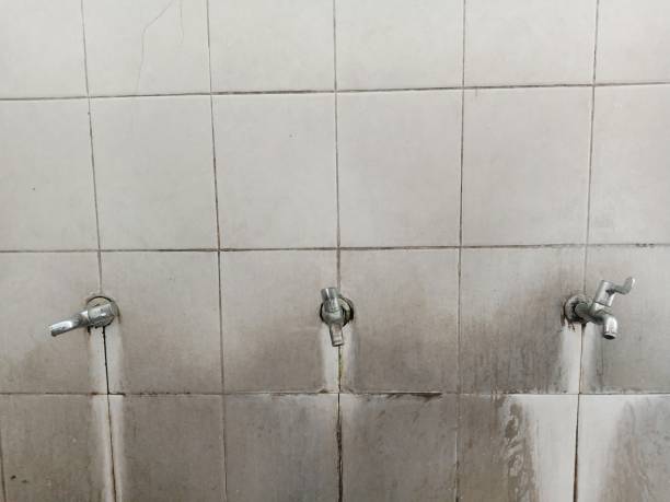 Best Carpet water damage restoration  in Bartonsville, MD